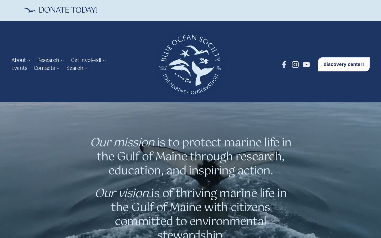 Screenshot der Website von Blue Ocean Society for Marine Conservation