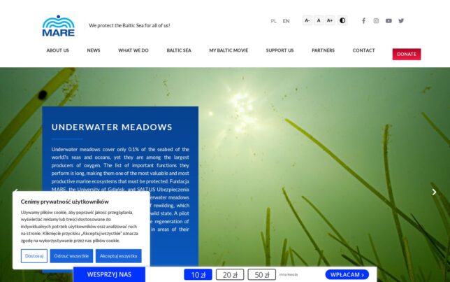 Screenshot der Website von Fundacja MARE