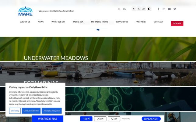 Screenshot der Website von Fundacja MARE