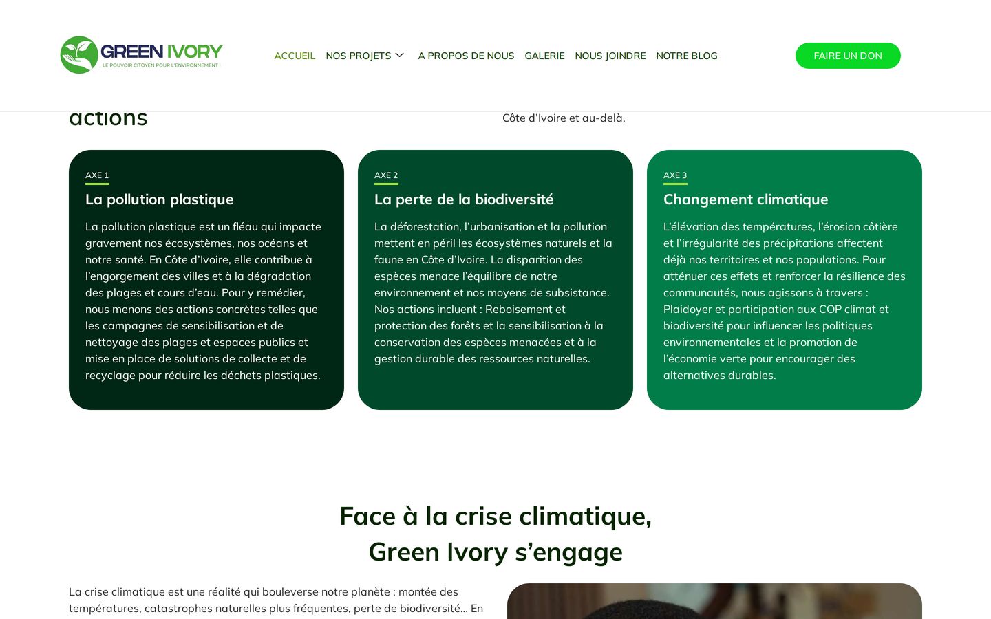 Screenshot der Website von Green Ivory