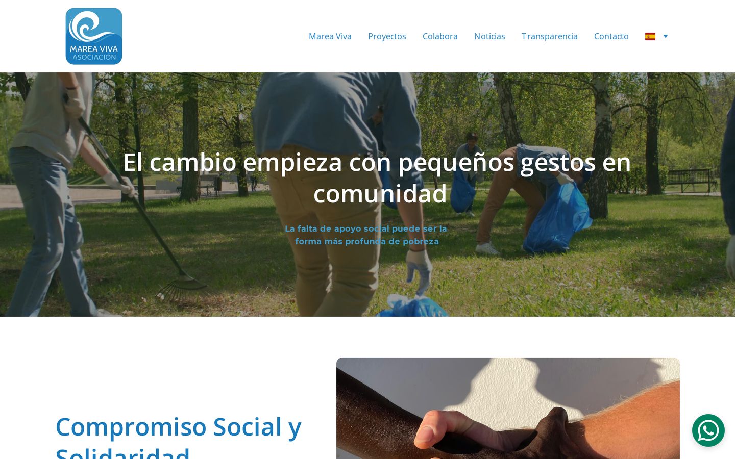 Screenshot der Website von Marea Viva