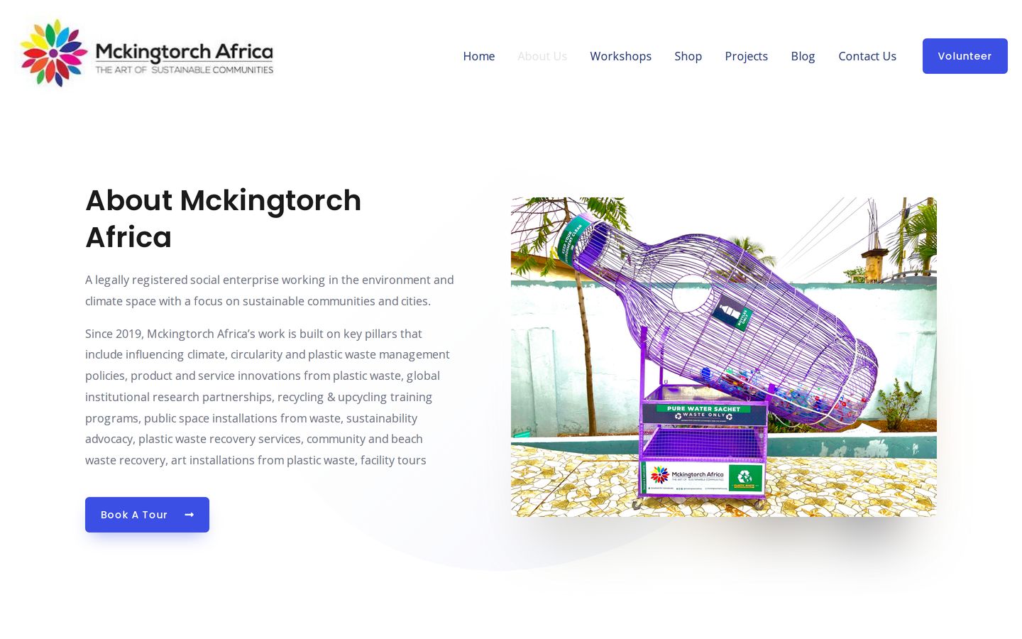 Screenshot der Website von Mckingtorch Africa