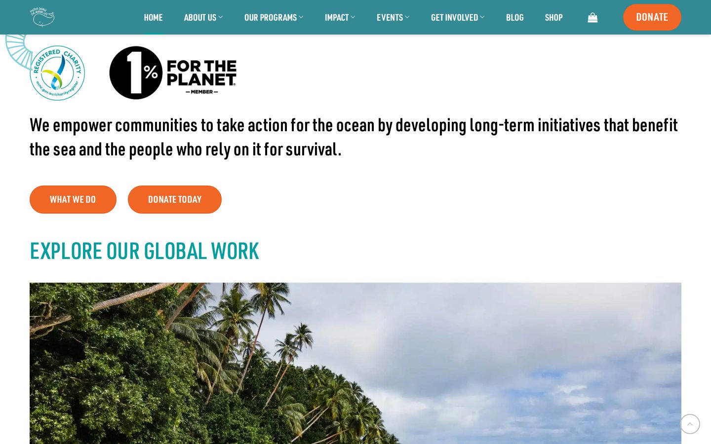Screenshot der Website von Positive Change for Marine Life