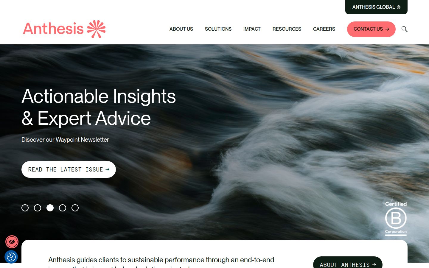 Screenshot der Startseite von Anthesis