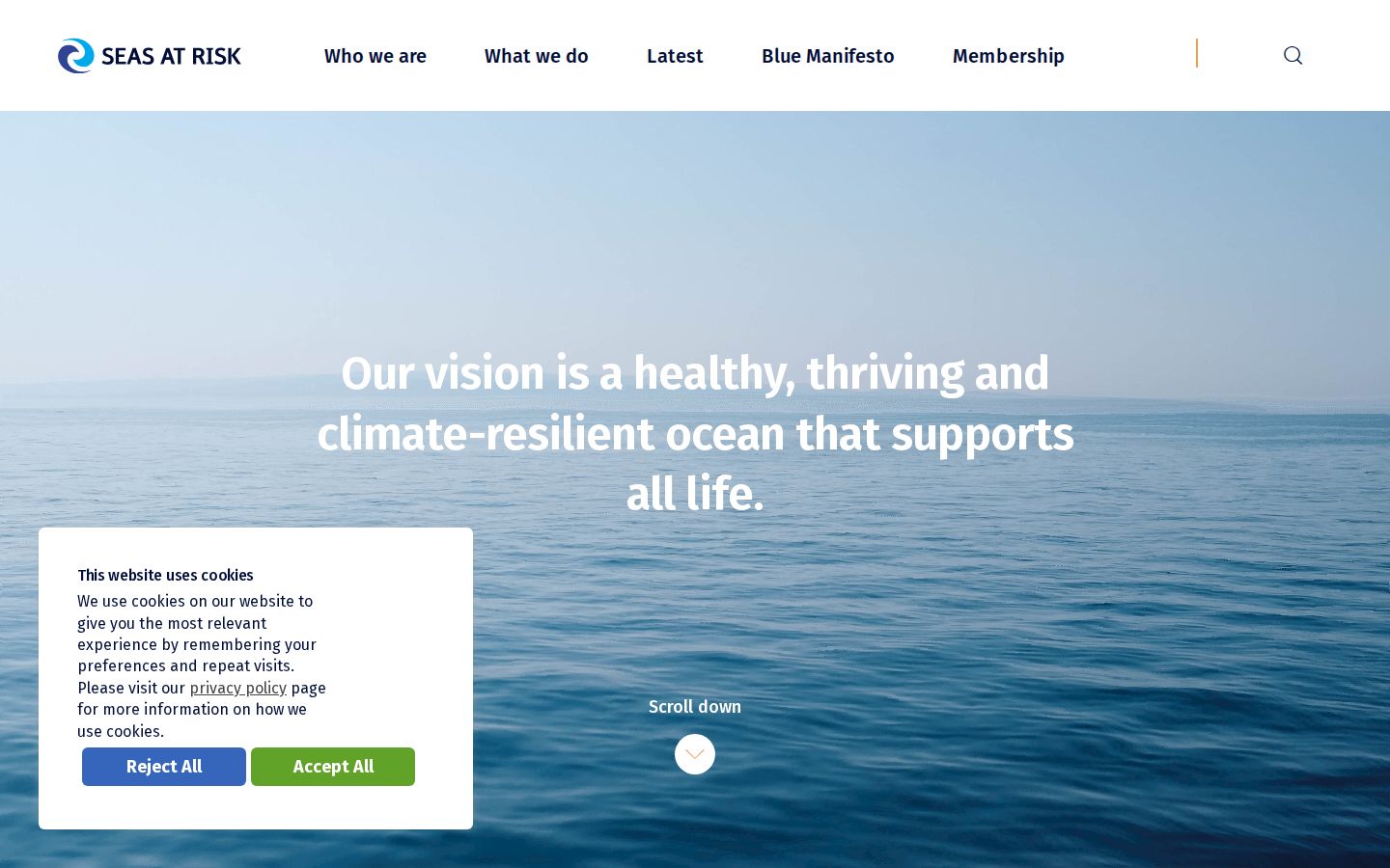 Screenshot der Startseite von Seas at Risk