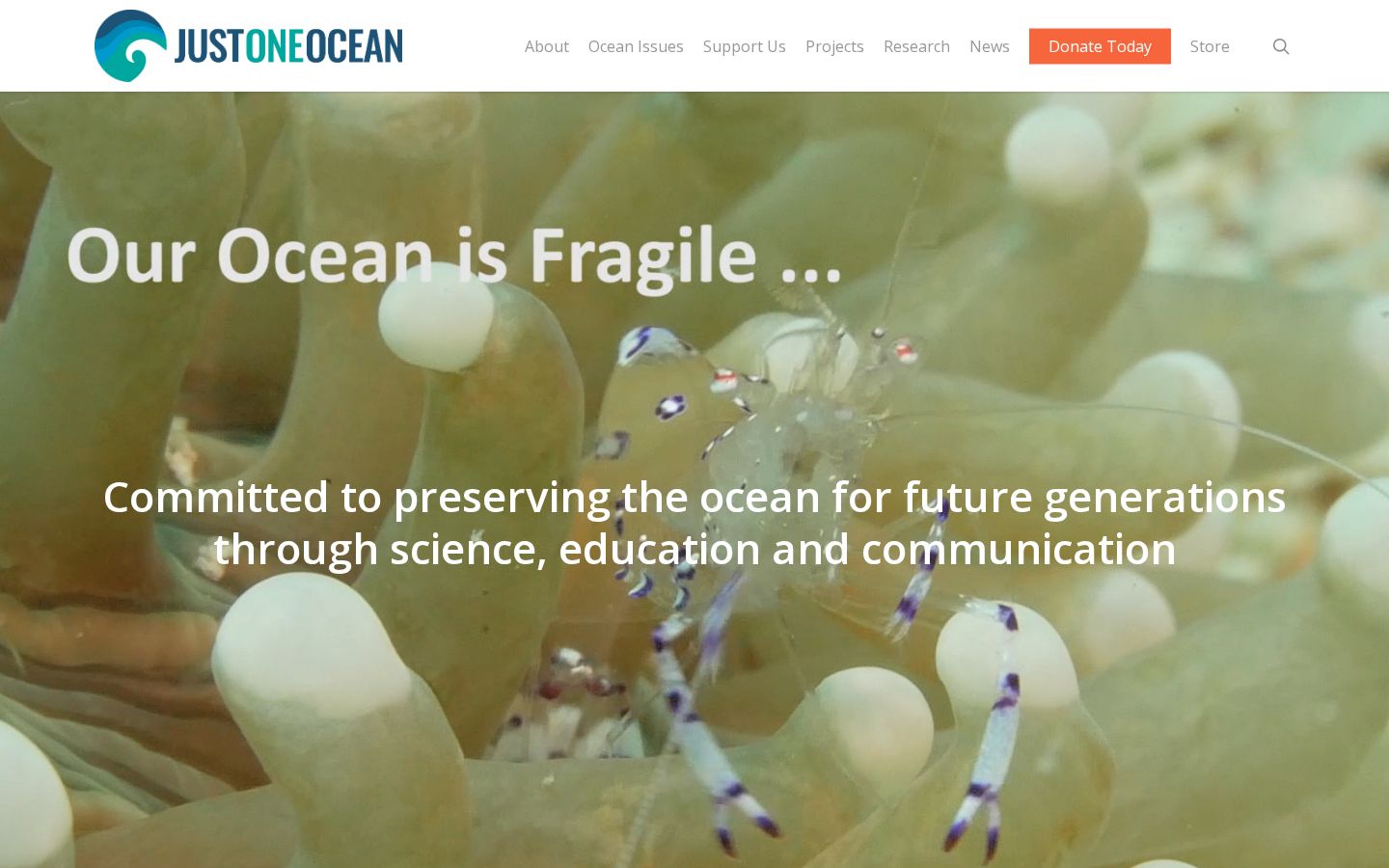 Screenshot der Startseite von Just one Ocean