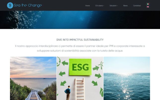 Screenshot der Website von Sea the Change