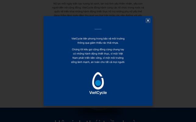 Screenshot der Website von VietCycle