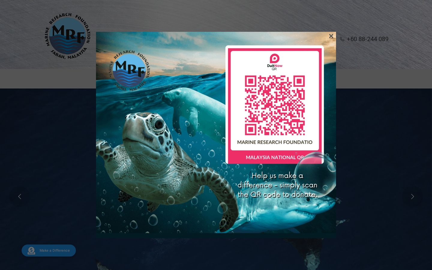 Screenshot der Website von Marine Research Foundation