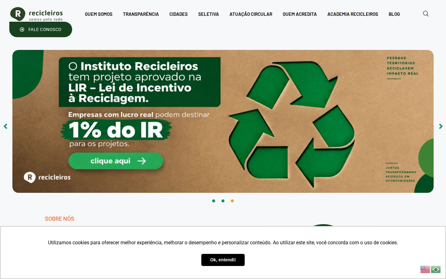 Screenshot der Startseite von Recicleiros