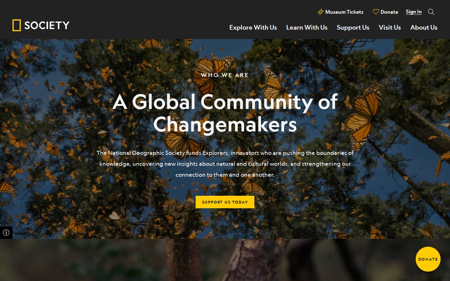 Screenshot der Startseite von National Geographic