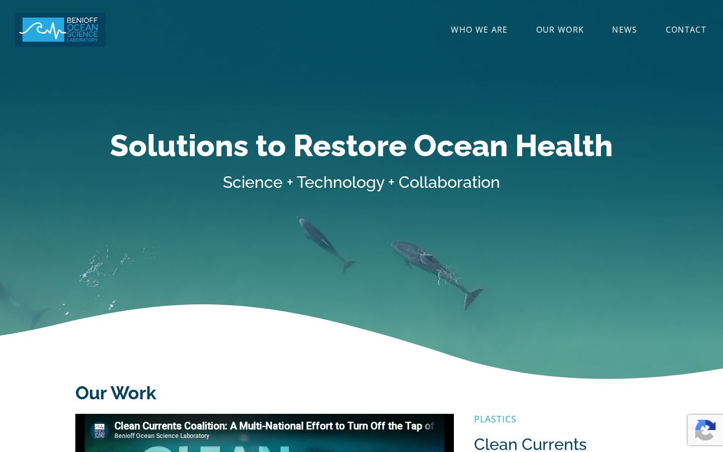 Screenshot der Startseite von Benioff Ocean Initiative