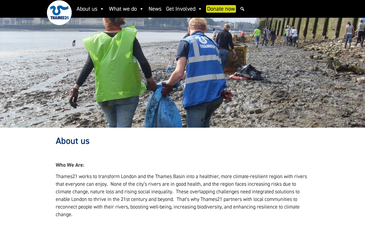 Screenshot der Website von Thames21