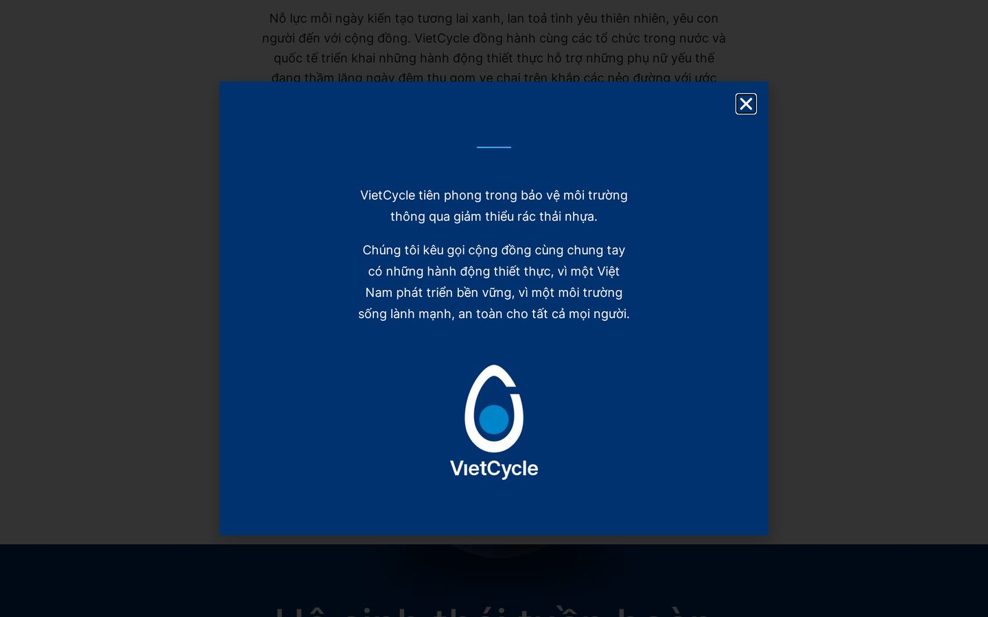 Screenshot der Website von VietCycle